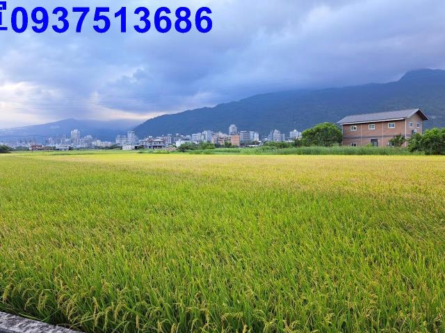 宜蘭礁溪農地-7