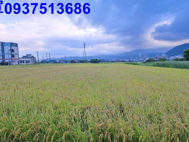 宜蘭礁溪農地-9