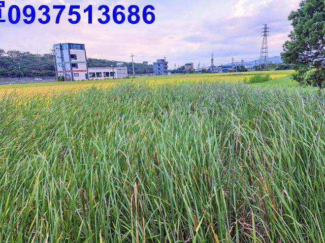 宜蘭礁溪農地-10