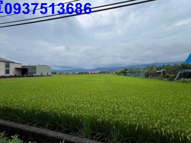 宜蘭礁溪農地-8