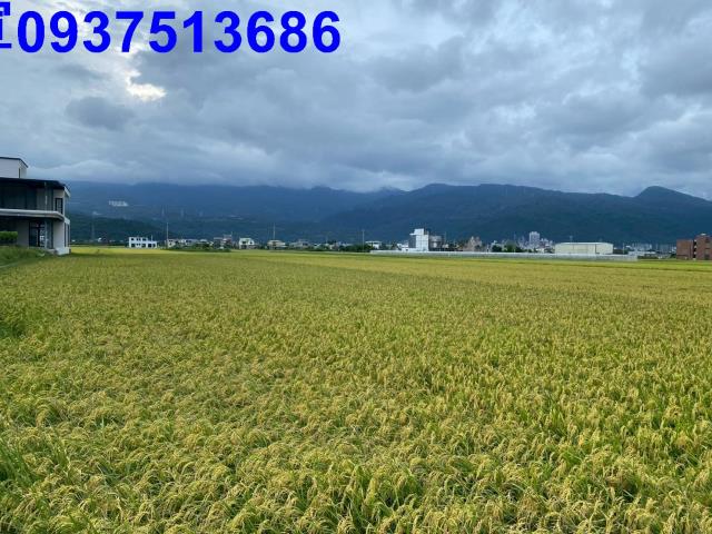 宜蘭礁溪農地-5