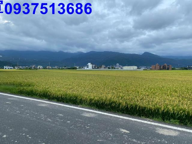 宜蘭礁溪農地-2
