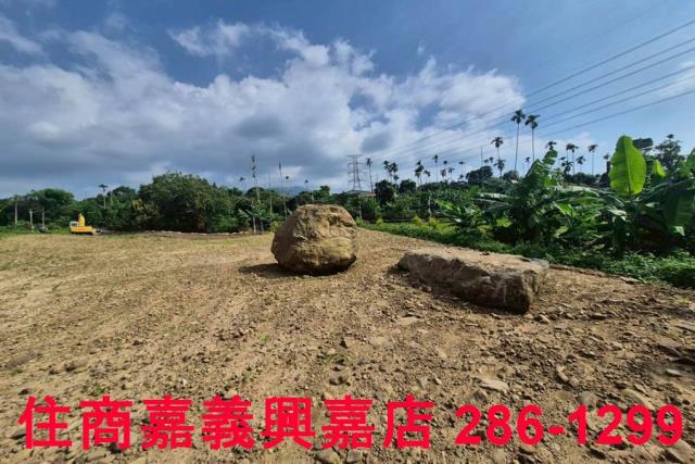 嘉義番路農地-9