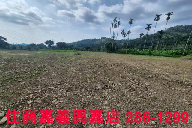 嘉義番路農地-10