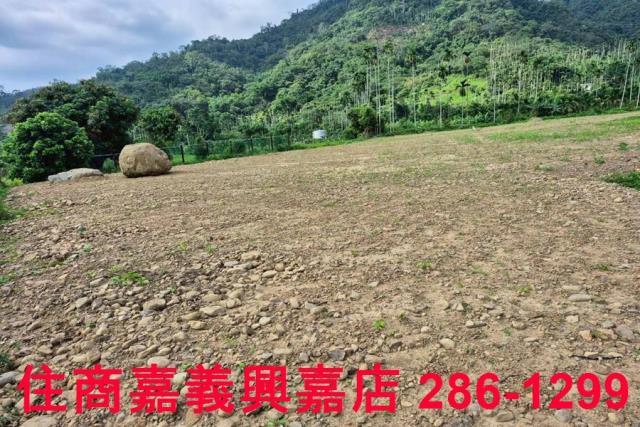 嘉義番路農地-11