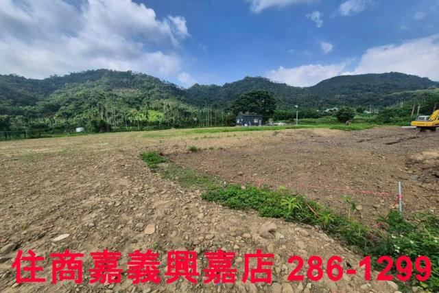 嘉義番路農地-13