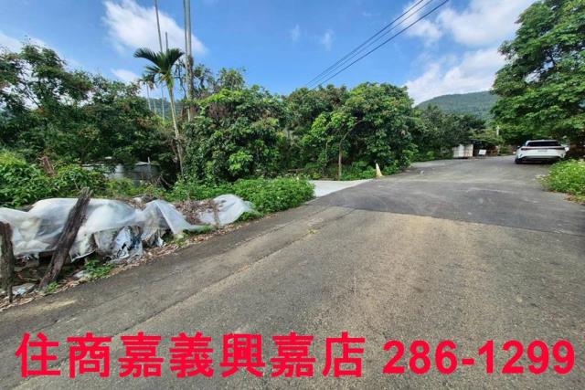 嘉義番路農地-0