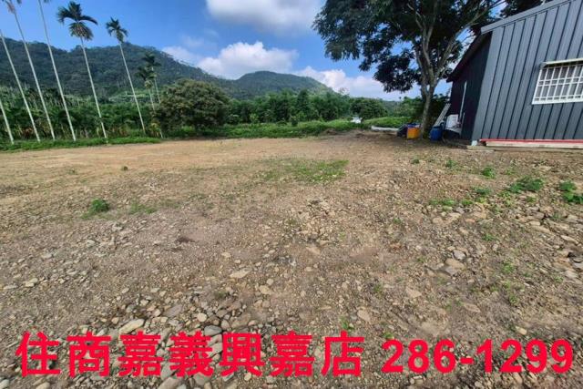 嘉義番路農地-3