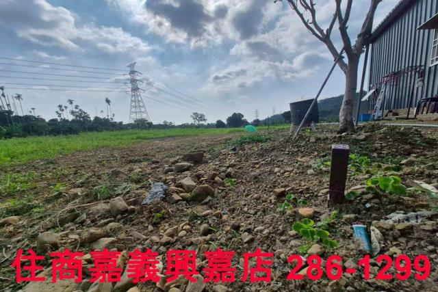 嘉義番路農地-4