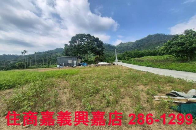 嘉義番路農地-5