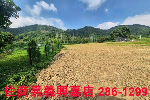 嘉義番路農地-8