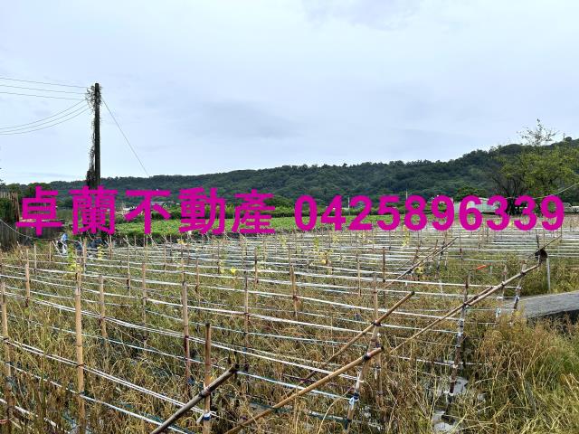 卓蘭農地-2
