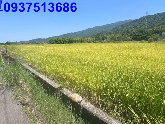 宜蘭農地-12