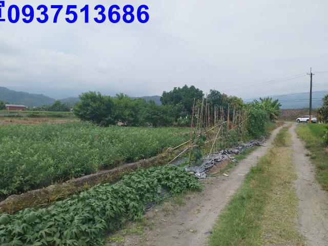 宜蘭農地-1