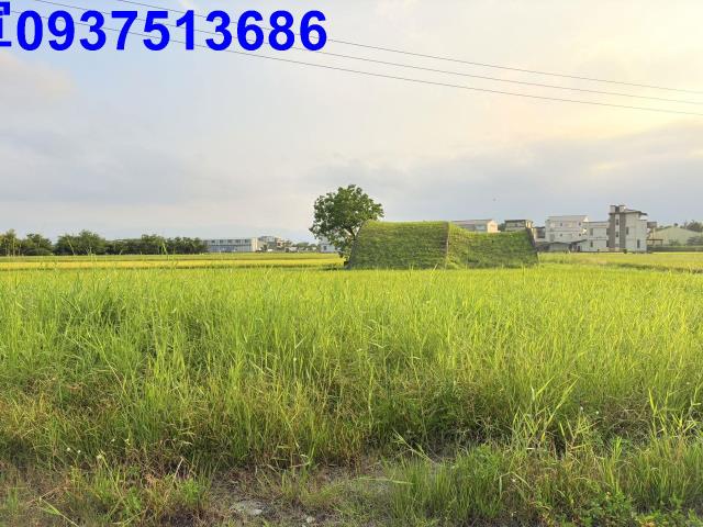 宜蘭農地-4
