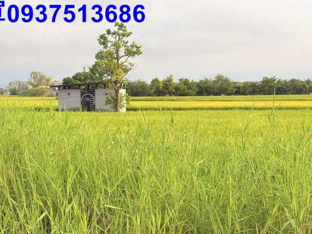 宜蘭農地-7