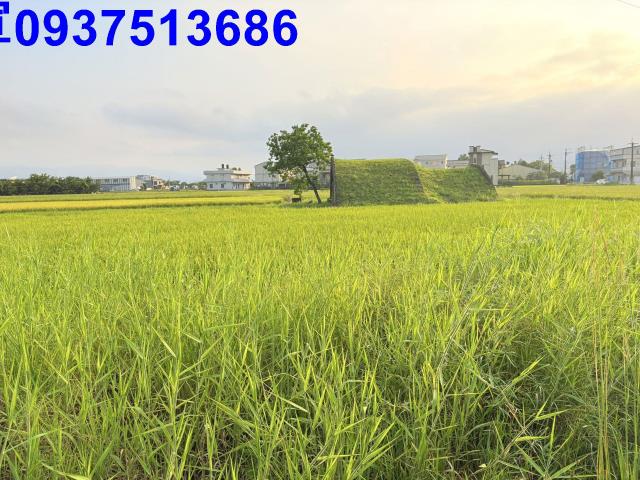 宜蘭農地-8