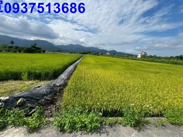 宜蘭農地-9