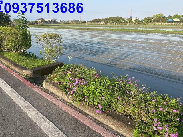 宜蘭三星農地-1