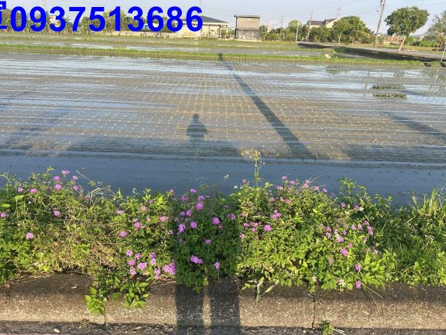 宜蘭三星農地-2