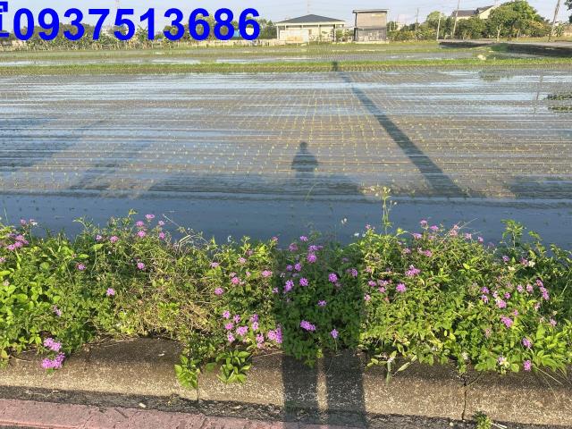 宜蘭三星農地-6
