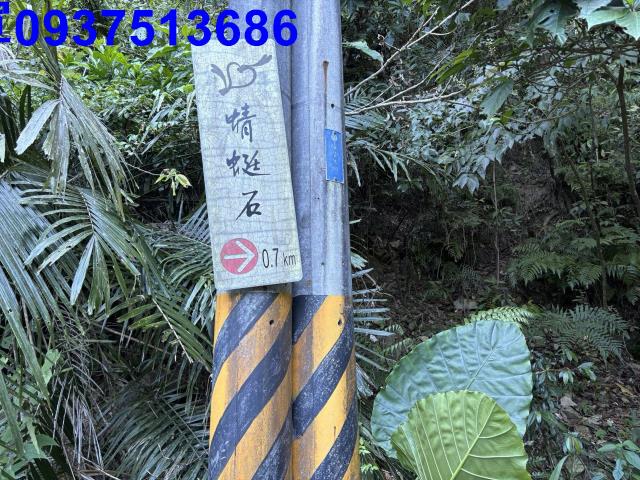 宜蘭頭城林地-10