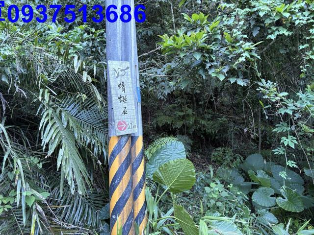 宜蘭頭城林地-11