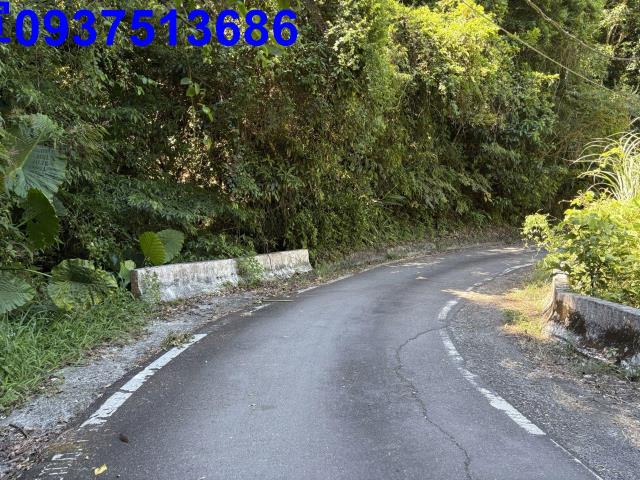 宜蘭頭城林地-2