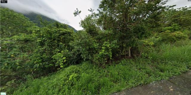 富里法拍富里農地富里土地