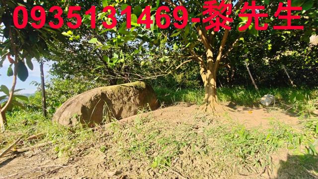 北埔農地-11