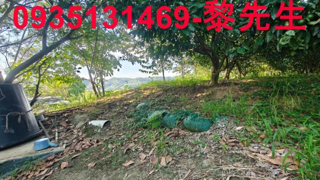 北埔農地-12