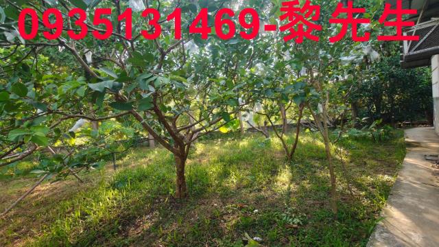 北埔農地-14