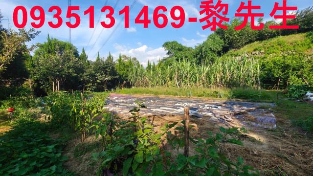北埔農地-5