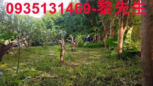 北埔農地-7