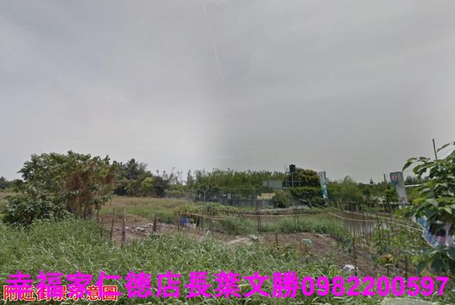 歸仁農地-14