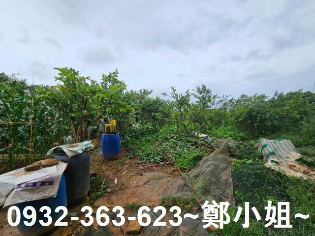 桃園區農地-9