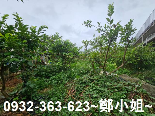桃園區農地-6