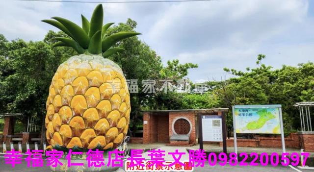 台南龍崎農地-8
