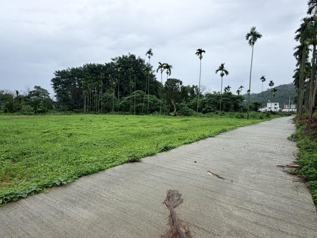 名間農地-4