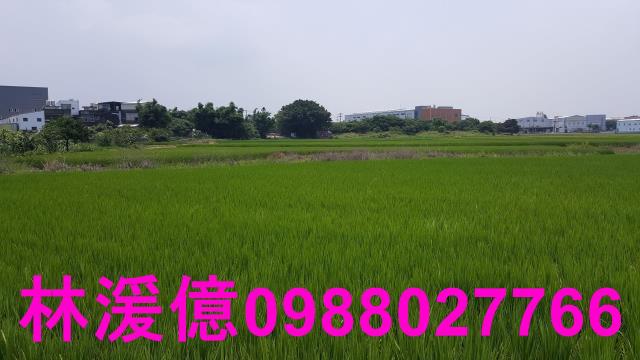 桃園農地-1