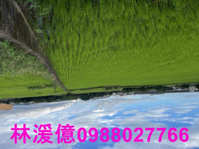 桃園農地-1