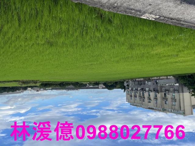 桃園農地-2