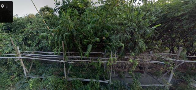 雲林縣土庫鎮石廟里法拍農保地