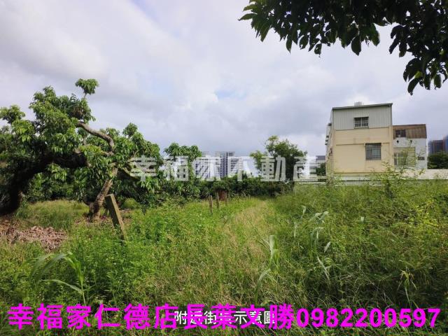 台南善化農地-3