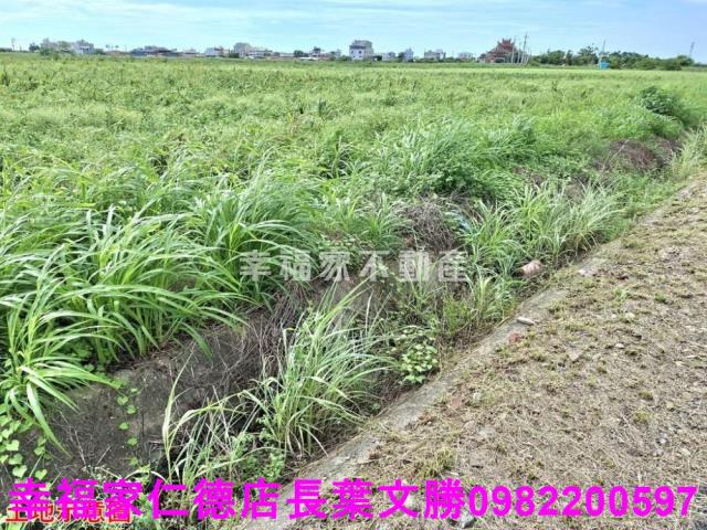台南佳里農地-4