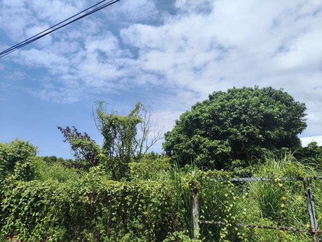 苗栗竹南農地-2