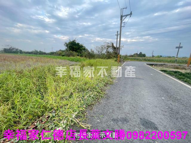台南新市農地-5