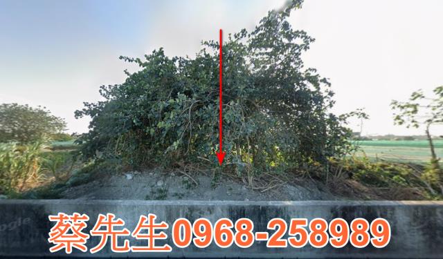 二崙華北路農地種植農作物果樹