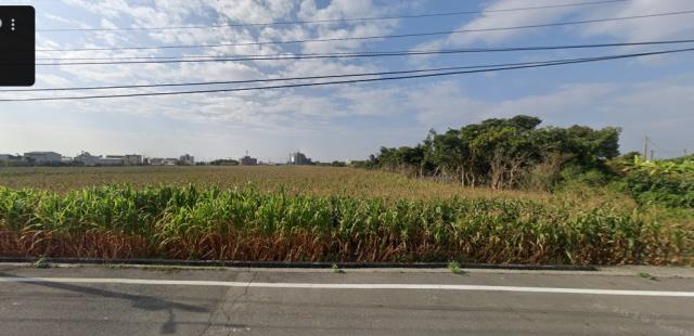 嘉義縣義竹鄉仁里村法拍都市農地