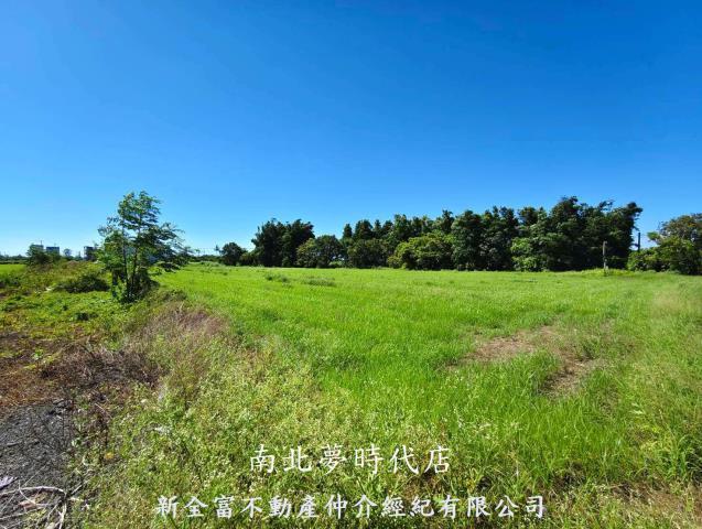 仁德農地-5